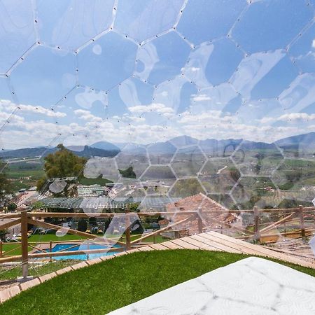 Finca Puerto Ermita - Cerca Malaga 20Km - بيزارا المظهر الخارجي الصورة